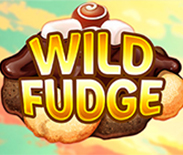 Wild Fudge