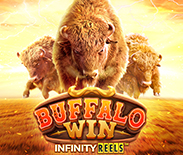 Buffalo Win Buffalo Win