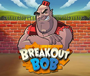 Breakout Bob™