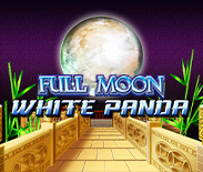 Full Moon: White Panda