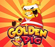 Golden Pig